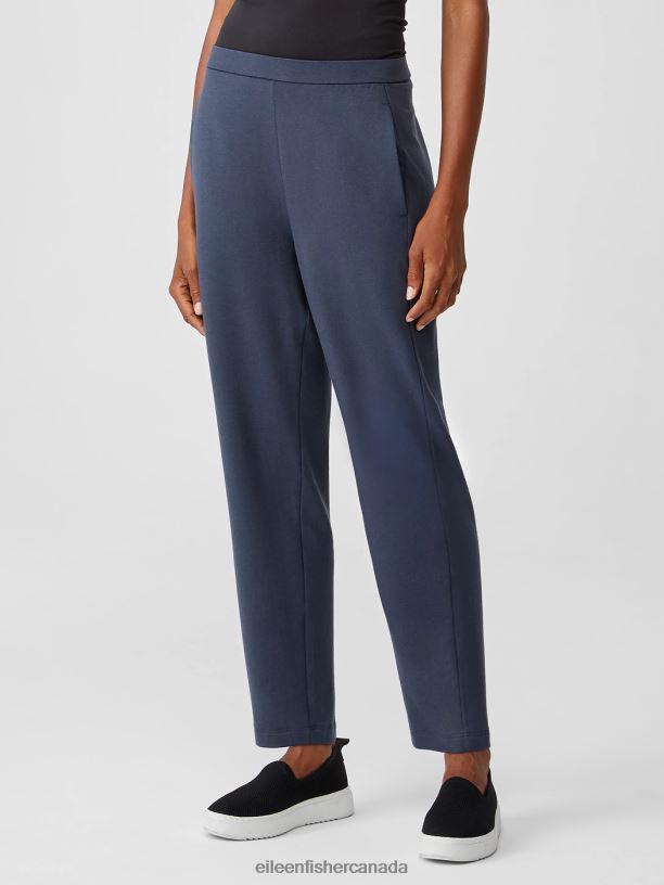 EILEEN FISHER Cozy Brushed Terry Hug Slouchy Pant Easy Fit Ankle Length Women OCEAN Clothing 024FN787