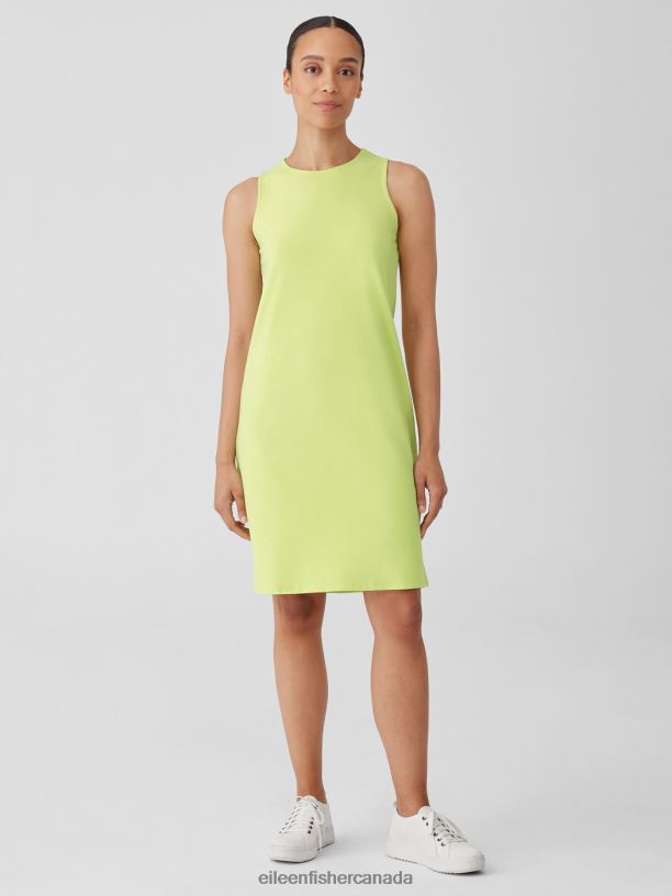 EILEEN FISHER Pima Cotton Stretch Jersey Tank Dress Slim Fit Knee Length Women HONEYDEW Clothing 024FN858