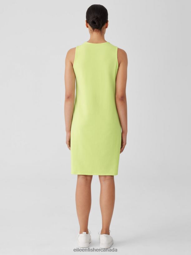 EILEEN FISHER Pima Cotton Stretch Jersey Tank Dress Slim Fit Knee Length Women HONEYDEW Clothing 024FN858