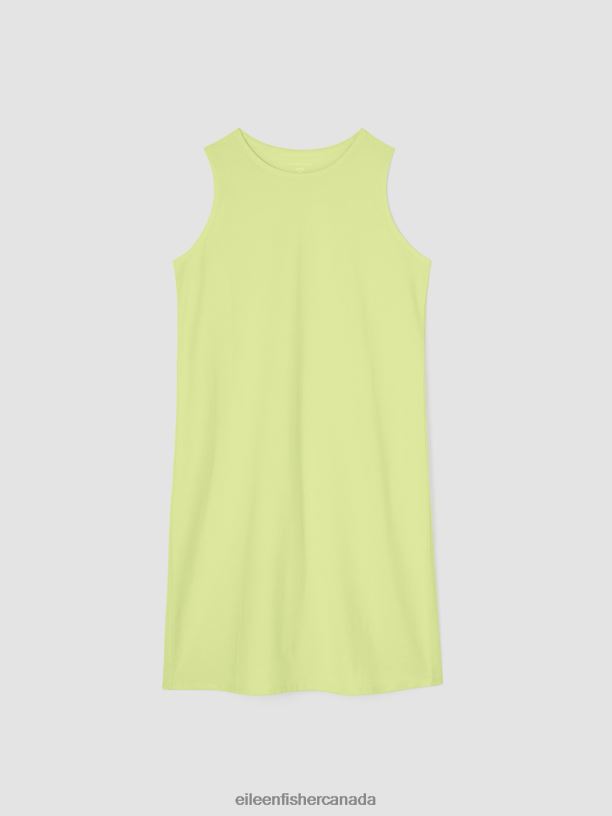 EILEEN FISHER Pima Cotton Stretch Jersey Tank Dress Slim Fit Knee Length Women HONEYDEW Clothing 024FN858