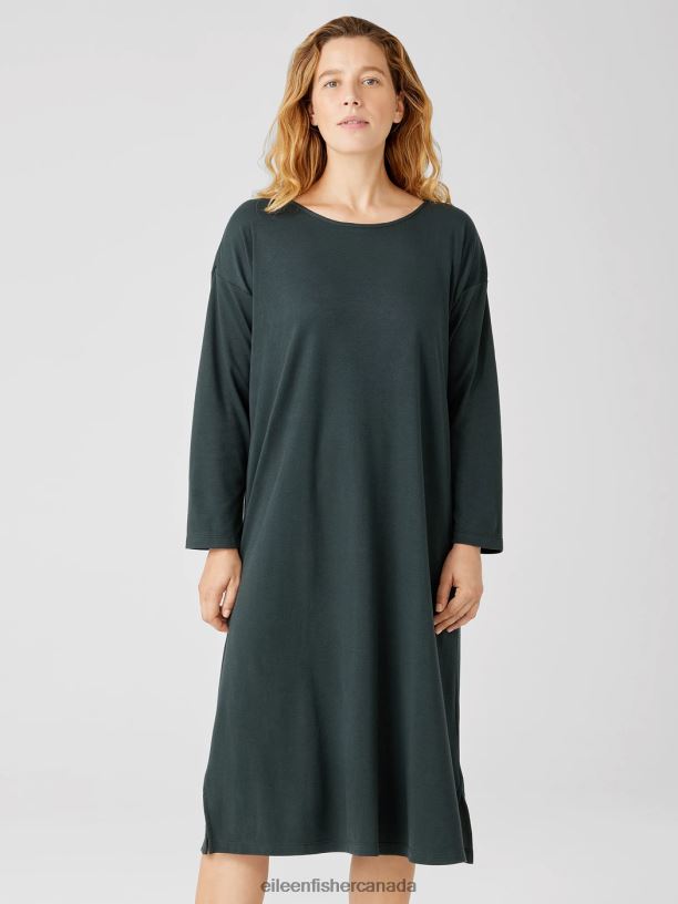 EILEEN FISHER Cozy Organic Cotton Interlock Dress Boxy Fit Calf Length Women IVY Clothing 024FN980