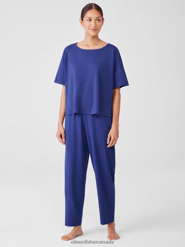 EILEEN FISHER Organic Cotton Interlock Sleep Tee Boxy Fit Short Length Women IRIS Clothing 024FN904
