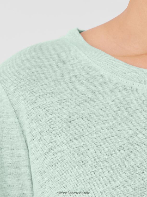 EILEEN FISHER Organic Linen Jersey Crew Neck Top Easy Fit Basic Length Women ABSINTHE Clothing 024FN114