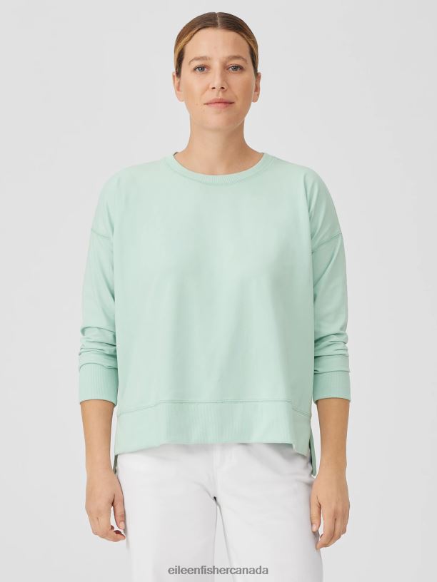EILEEN FISHER Pima Cotton Stretch Jersey Box-Top Boxy Fit Basic Length Women ABSINTHE Clothing 024FN242