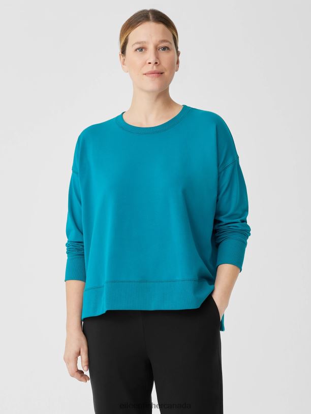 EILEEN FISHER Pima Cotton Stretch Jersey Box-Top Boxy Fit Basic Length Women JEWEL Clothing 024FN240