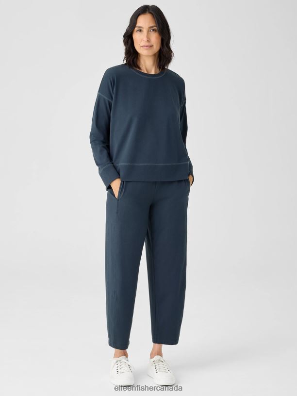 EILEEN FISHER Traceable Cotton Jersey Crew Neck Top Boxy Fit Basic Length Women DEEP ADRIATIC Clothing 024FN351