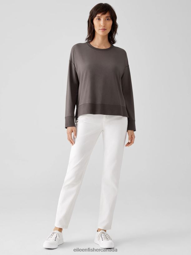 EILEEN FISHER Traceable Cotton Jersey Crew Neck Top Boxy Fit Basic Length Women RYE Clothing 024FN350