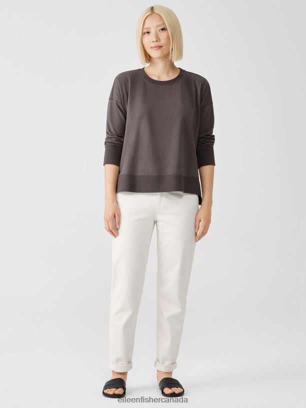 EILEEN FISHER Traceable Cotton Jersey Crew Neck Top Boxy Fit Basic Length Women RYE Clothing 024FN350