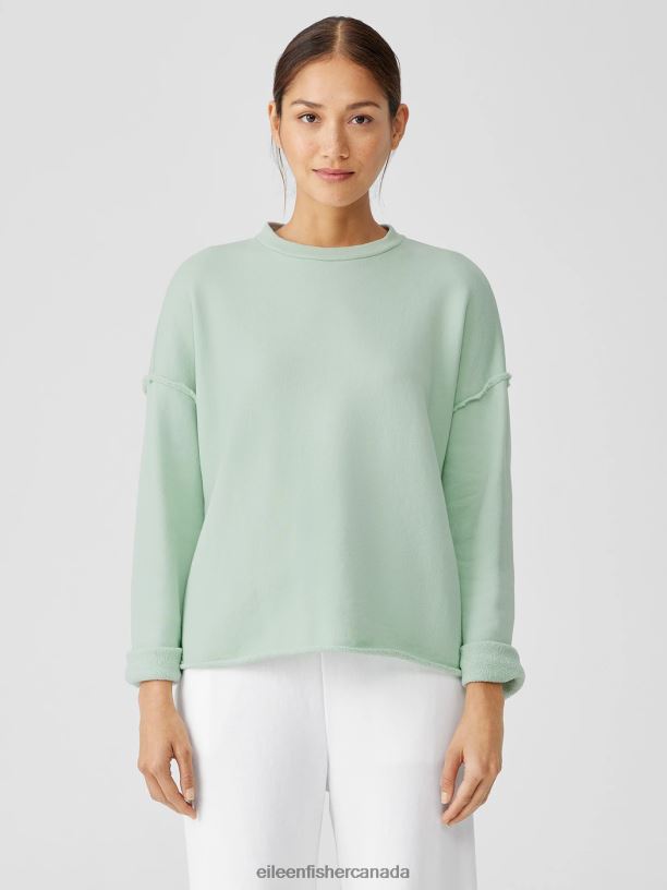 EILEEN FISHER Organic Cotton French Terry Box-Top Boxy Fit Basic Length Women ABSINTHE Clothing 024FN233