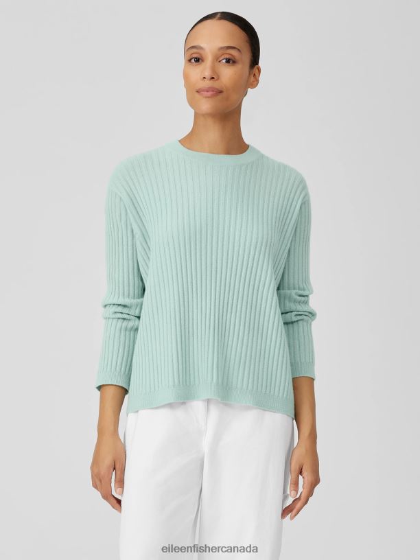 EILEEN FISHER Italian Cashmere Crew Neck Top Boxy Fit Basic Length Women ABSINTHE Clothing 024FN426