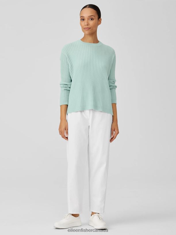 EILEEN FISHER Italian Cashmere Crew Neck Top Boxy Fit Basic Length Women ABSINTHE Clothing 024FN426