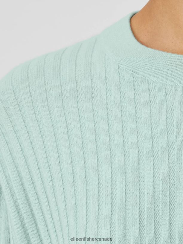 EILEEN FISHER Italian Cashmere Crew Neck Top Boxy Fit Basic Length Women ABSINTHE Clothing 024FN426