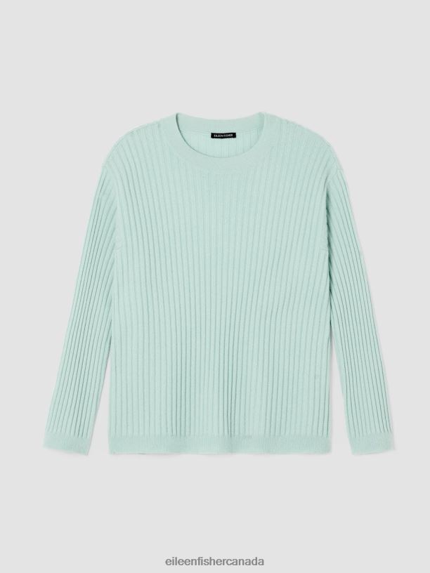 EILEEN FISHER Italian Cashmere Crew Neck Top Boxy Fit Basic Length Women ABSINTHE Clothing 024FN426