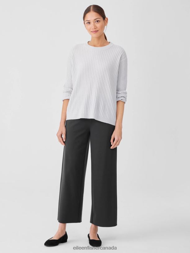 EILEEN FISHER Italian Cashmere Crew Neck Top Boxy Fit Basic Length Women PEARL Clothing 024FN423
