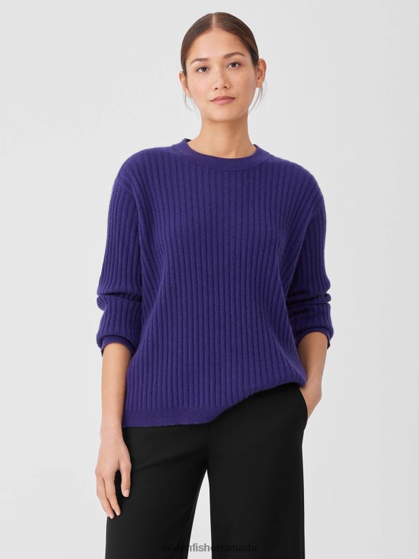EILEEN FISHER Italian Cashmere Crew Neck Top Boxy Fit Basic Length Women VENUS Clothing 024FN424