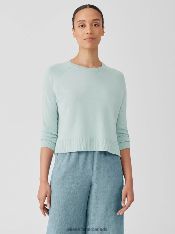EILEEN FISHER Organic Linen Cotton Raglan-Sleeve Top Boxy Fit Short Length Women CLEARWATER Clothing 024FN383