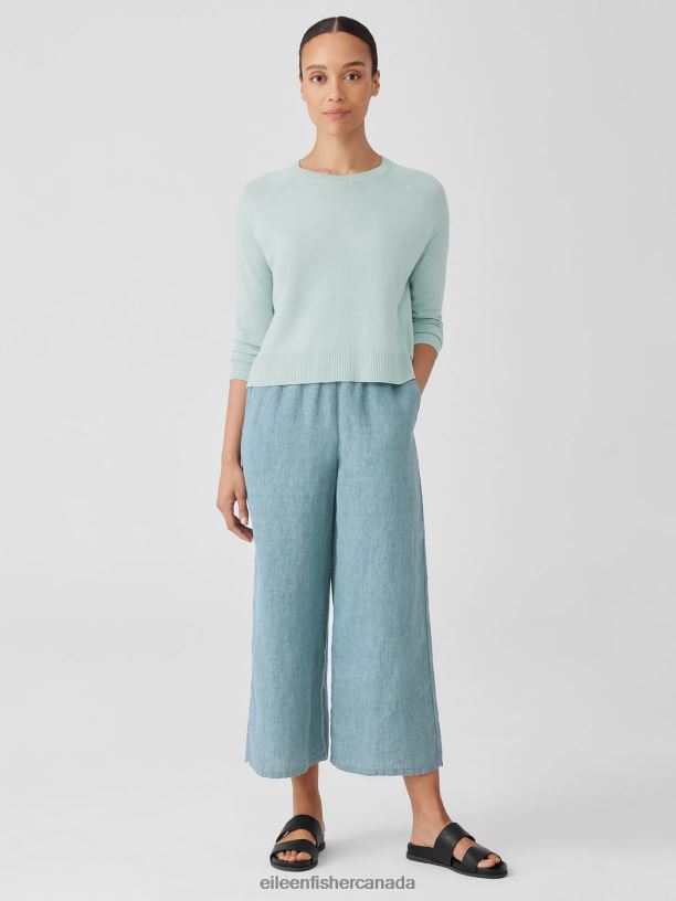 EILEEN FISHER Organic Linen Cotton Raglan-Sleeve Top Boxy Fit Short Length Women CLEARWATER Clothing 024FN383