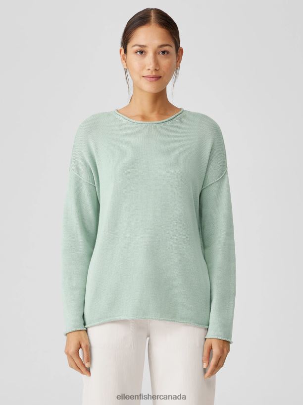 EILEEN FISHER Peruvian Cotton Blend Crew Neck Top Boxy Fit Basic Length Women ABSINTHE Clothing 024FN439