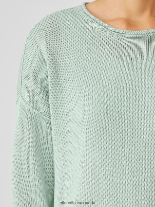 EILEEN FISHER Peruvian Cotton Blend Crew Neck Top Boxy Fit Basic Length Women ABSINTHE Clothing 024FN439