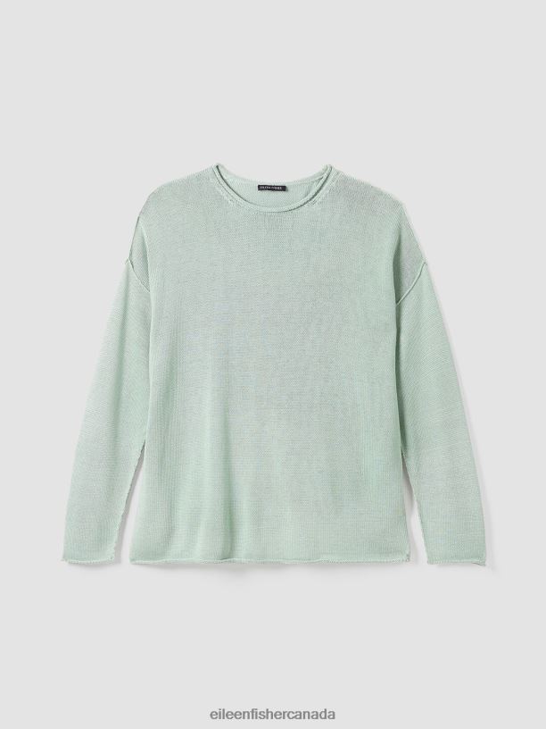 EILEEN FISHER Peruvian Cotton Blend Crew Neck Top Boxy Fit Basic Length Women ABSINTHE Clothing 024FN439