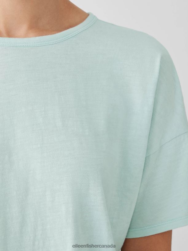 EILEEN FISHER Organic Cotton Slub Crew Neck Tee Boxy Fit Basic Length Women CLEARWATER Clothing 024FN83
