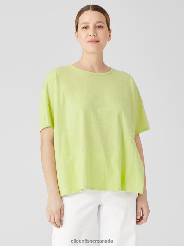 EILEEN FISHER Organic Cotton Slub Crew Neck Tee Boxy Fit Basic Length Women HONEYDEW Clothing 024FN80