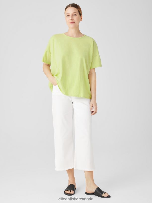 EILEEN FISHER Organic Cotton Slub Crew Neck Tee Boxy Fit Basic Length Women HONEYDEW Clothing 024FN80
