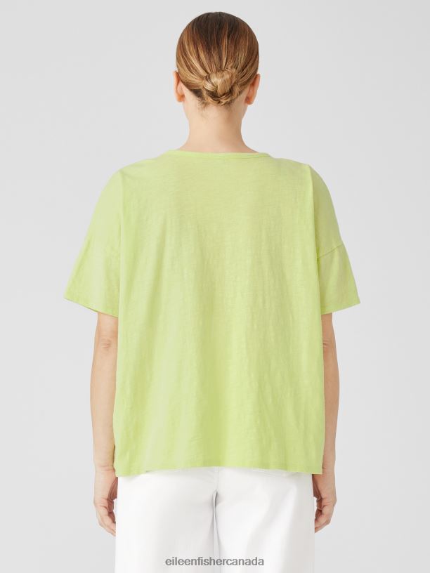 EILEEN FISHER Organic Cotton Slub Crew Neck Tee Boxy Fit Basic Length Women HONEYDEW Clothing 024FN80