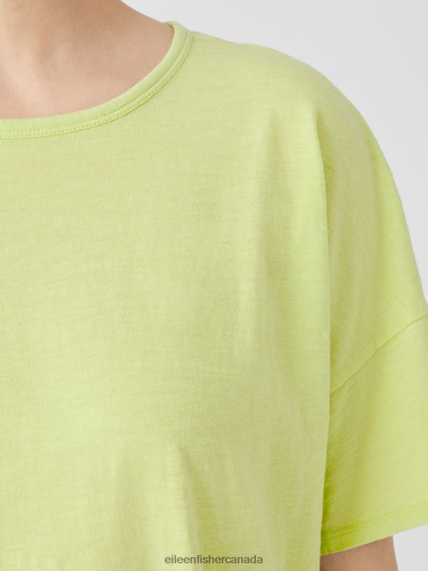 EILEEN FISHER Organic Cotton Slub Crew Neck Tee Boxy Fit Basic Length Women HONEYDEW Clothing 024FN80