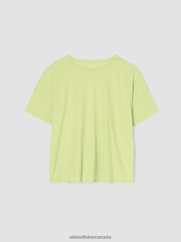 EILEEN FISHER Organic Cotton Slub Crew Neck Tee Boxy Fit Basic Length Women HONEYDEW Clothing 024FN80