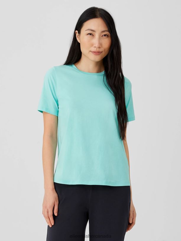 EILEEN FISHER Organic Pima Cotton Jersey Round Neck Tee Easy Fit Basic Length Women AQUA Clothing 024FN318