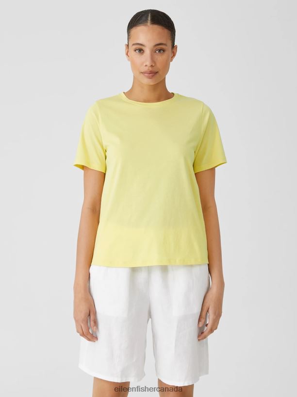 EILEEN FISHER Organic Pima Cotton Jersey Round Neck Tee Easy Fit Basic Length Women CITRUS Clothing 024FN321