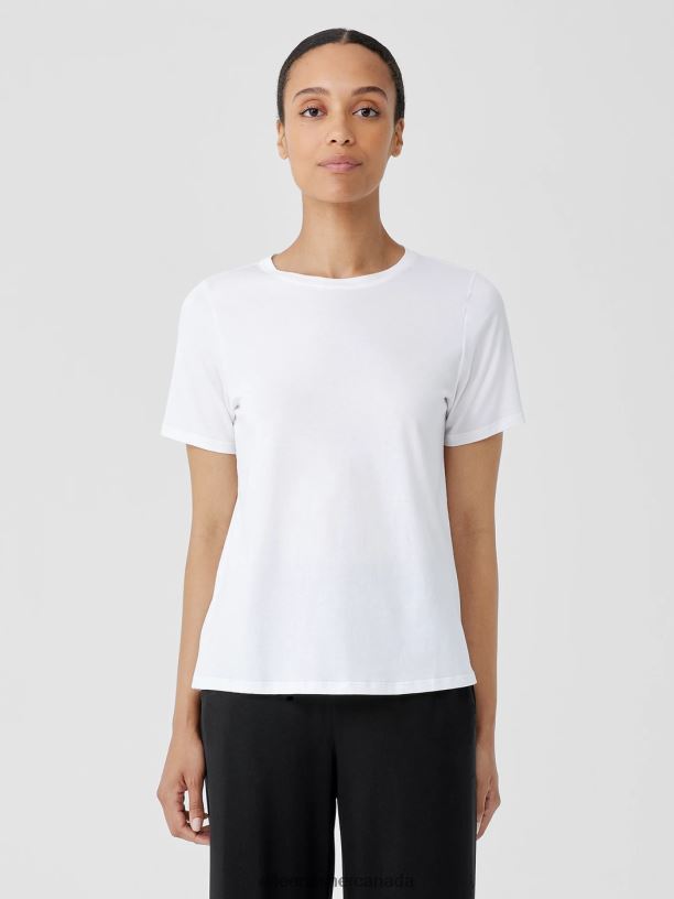 EILEEN FISHER Organic Pima Cotton Jersey Round Neck Tee Slim Fit Basic Length Women WHITE Clothing 024FN152