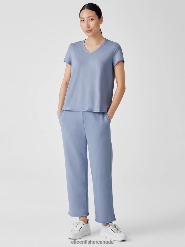 EILEEN FISHER Organic Pima Cotton Jersey V-Neck Tee Easy Fit Basic Length Women DELPHINE Clothing 024FN325