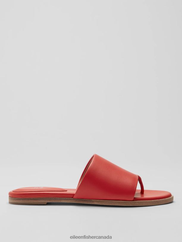EILEEN FISHER Edge Leather Slide Sandal Women RED POPPY Shoes 024FN1038