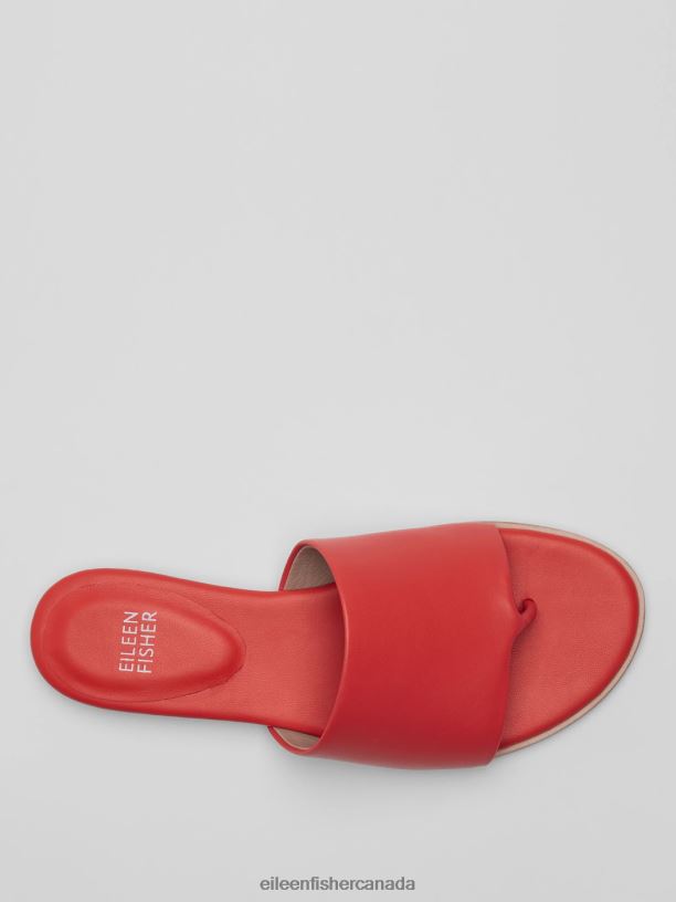 EILEEN FISHER Edge Leather Slide Sandal Women RED POPPY Shoes 024FN1038