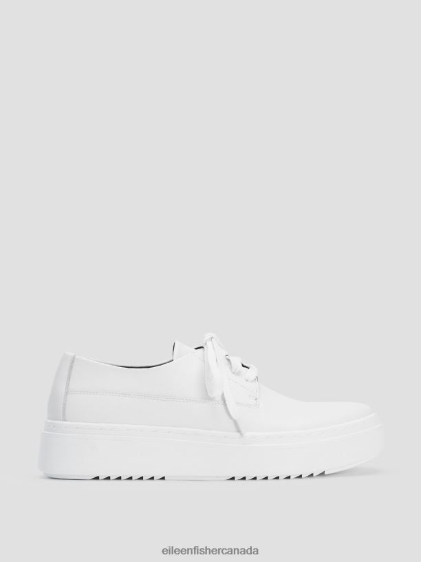 EILEEN FISHER Prop Leather Sneaker Women SNOW Shoes 024FN1073